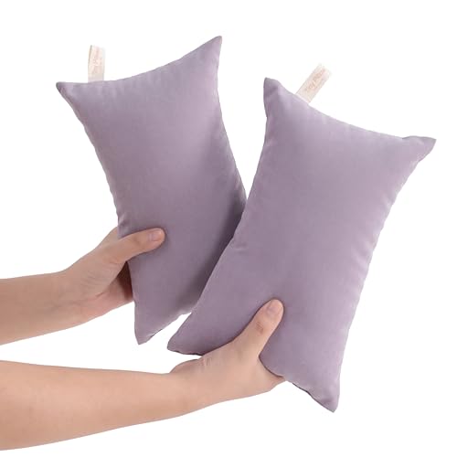 Tiny Pillows Down Alternative 7"x11" Microfiber Mini Pillow for Travel (2 Count)