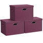 Storage Bins with Lids Fabric Closet Organizers Cubes Office Organization (3 Count)