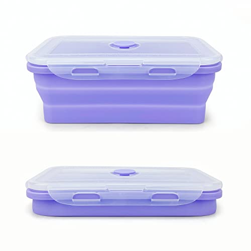 Purple Collapsible Sandwich Container