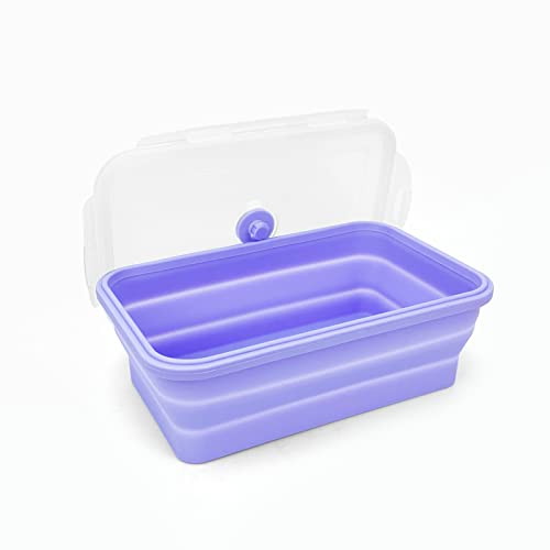 Purple Collapsible Sandwich Container