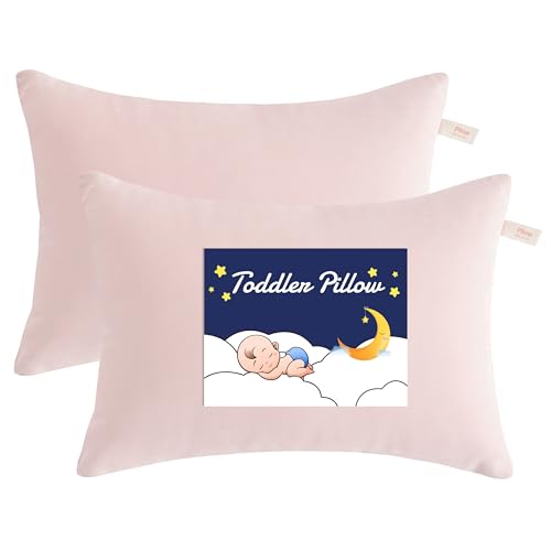 Toddler Pillows (2 Count)