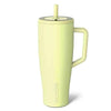 BrüMate Era 40 oz Tumbler with Handle & Straw | 100% Leakproof Insulated Water Bottle Tumbler with Lid & Flexible SoftSip Straw | Made of Stainless Steel | Cup Holder Friendly | 40oz (Prickly Pear)