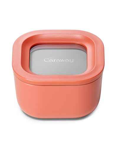 Mini Square Food Storage Container