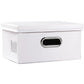 Collapsible Storage Box with Lid [1