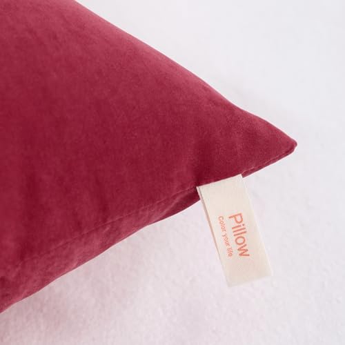 Toddler Pillows (2 Count)