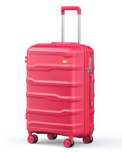 24 Inch Medium Checked Luggage