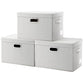Collapsible Storage Bin with Lid [3 (3 Count)