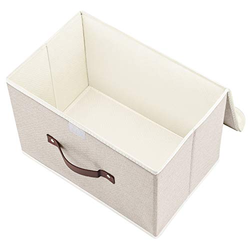 Collapsible Storage Boxes (2 Count)
