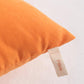 Toddler Pillows (2 Count)