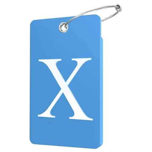 2 Pack Initial Luggage Tags for Suitcases Airplane Travel Essentials (2 Count)