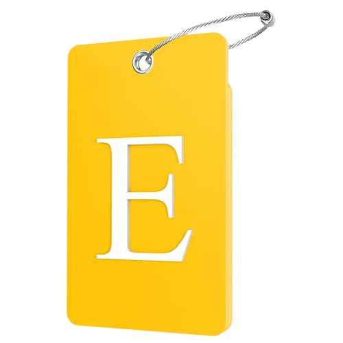2 Pack Initial Luggage Tags for Suitcases Airplane Travel Essentials (2 Count)