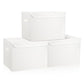 Large 17" 42 Quarts Collapsible Stackable Storage Bins with Lids [3 (3 Count)
