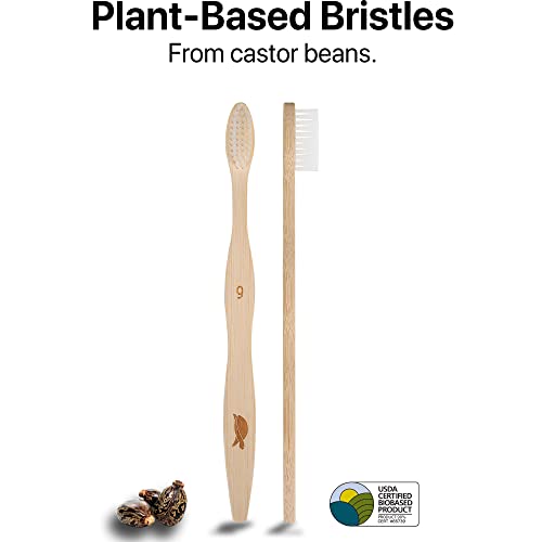 Plant Based Bristles (10 Count)