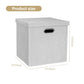 Storage Bins with Lids