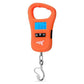 ToughTide USB Charging Fishing Scale