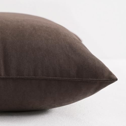 Tiny Pillows Down Alternative 7"x11" 100% Microfiber (2 Count)