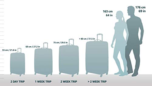 Winfield 2 Hardside Expandable Luggage with Spinner Wheels