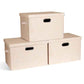 Storage Bins with Lids Fabric Closet Organizers Cubes Office Organization (3 Count)