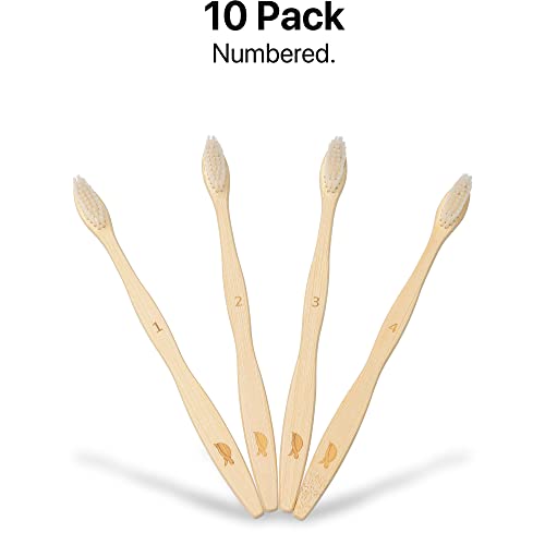 Plant Based Bristles (10 Count)