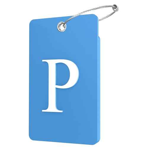 2 Pack Initial Luggage Tags for Suitcases Airplane Travel Essentials (2 Count)
