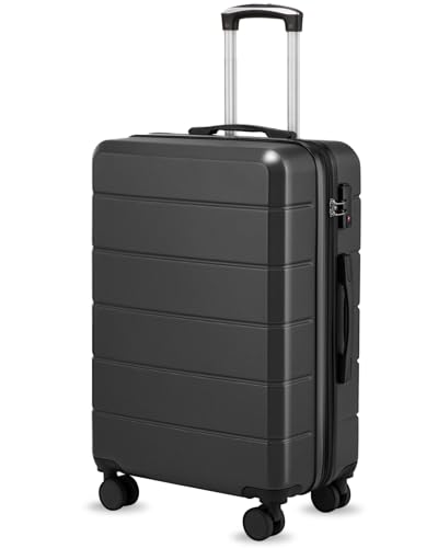 24 Inch Checked Luggage with Spinner Wheels