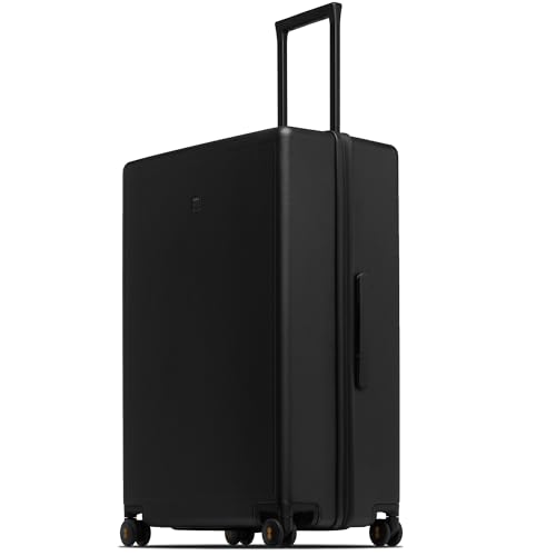 Checked Luggage