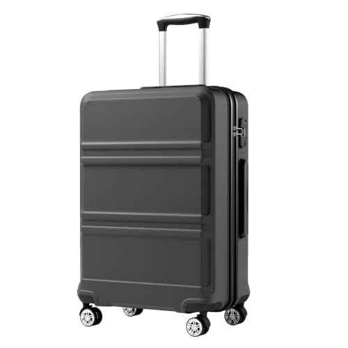 24 Inch Luggage Suitcase with Spinner Wheels TSA Lock