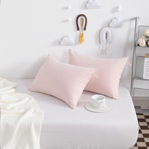 Tiny Pillows Down Alternative 7"x11" Microfiber Mini Pillow for Travel (2 Count)