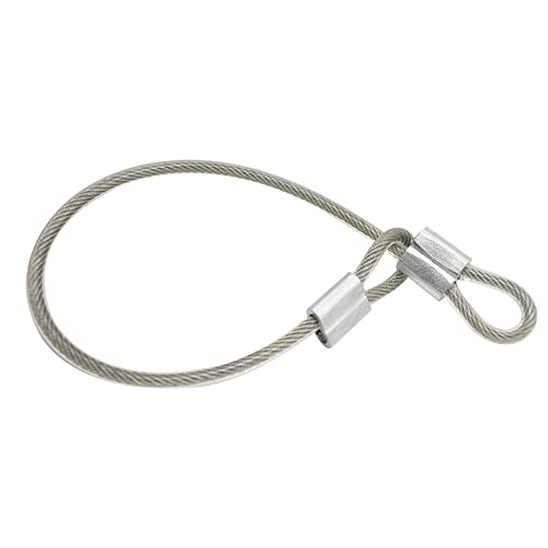 10 Pcs 4mm Wire 12 inch Vinyl Coated Stainless Steel Cable with Loops Short Wire Rope Lanyard Lock Security Chain Link for Outdoor Gates (10 Count)