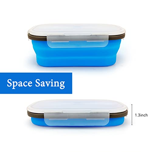 Collapsible Lunch Box Containers
