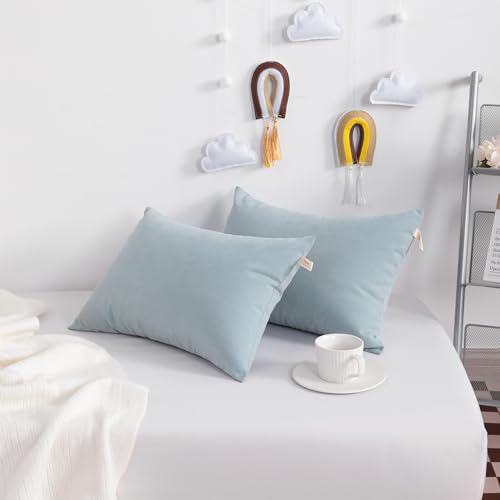 Tiny Pillows Down Alternative 7"x11" Microfiber Mini Pillow for Travel (2 Count)
