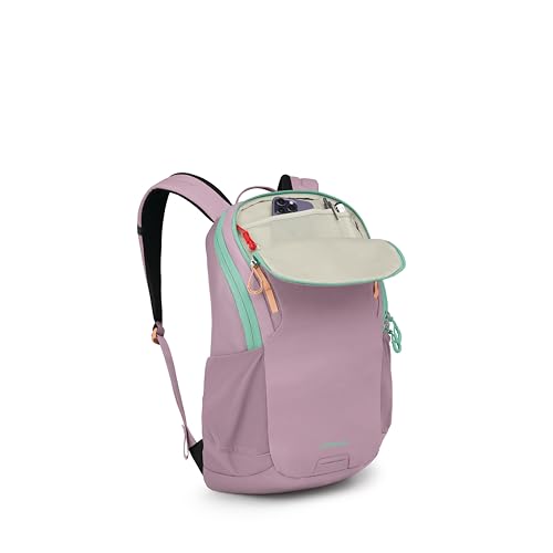 Astronova Campus Laptop Backpack