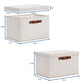 Storage Bins with Lids 2 (2 Count)