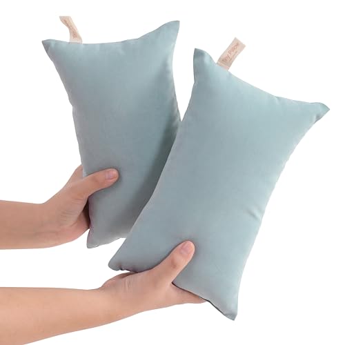 Tiny Pillows Down Alternative 7"x11" Microfiber Mini Pillow for Travel (2 Count)