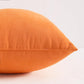 Toddler Pillows (2 Count)