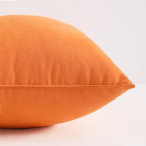 Toddler Pillows (2 Count)