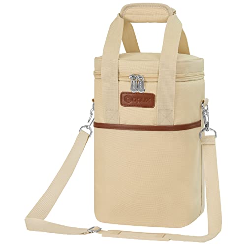Insulated Wine Cooler Bag