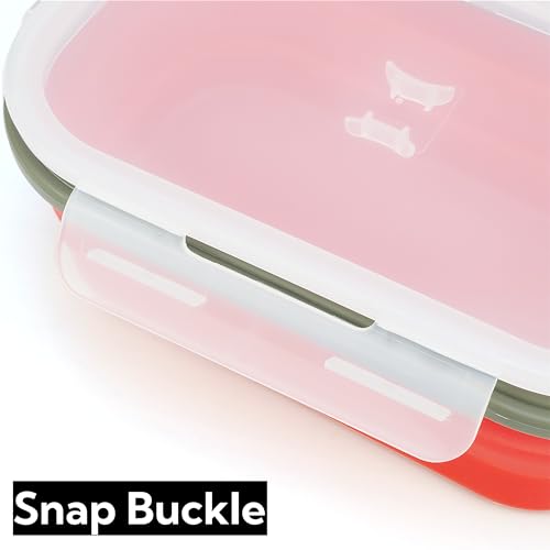 1000ml Collapsible Bento Lunch Box