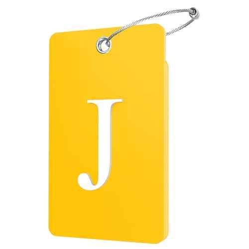 2 Pack Initial Luggage Tags for Suitcases Airplane Travel Essentials (2 Count)