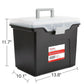 File Box Portable Tote (4 Count)