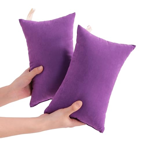 Tiny Pillows Down Alternative 7"x11" Microfiber Mini Pillow for Travel (2 Count)