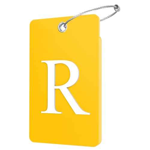 2 Pack Initial Luggage Tags for Suitcases Airplane Travel Essentials (2 Count)