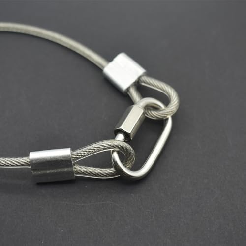 10 Pcs 2mm Wire 12 inch Vinyl Coated Stainless Steel Cable with Loops Short Wire Rope Lanyard Lock Security Chain Link for Outdoor Gates (10 Count)