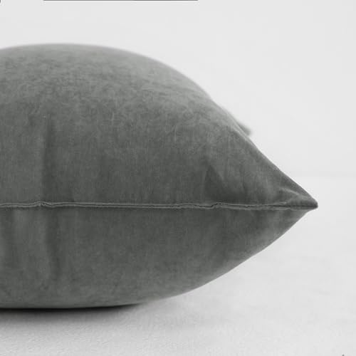 Tiny Pillows Set of 2 (2 Count)