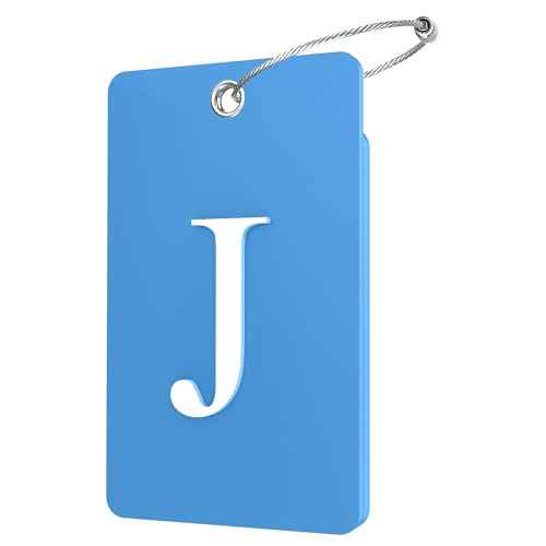 2 Pack Initial Luggage Tags for Suitcases Airplane Travel Essentials (2 Count)