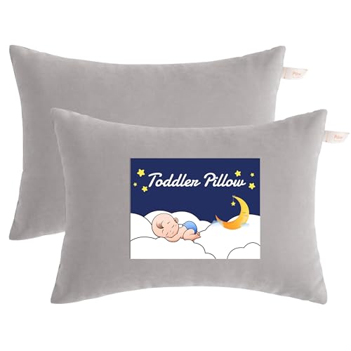 Toddler Pillows (2 Count)