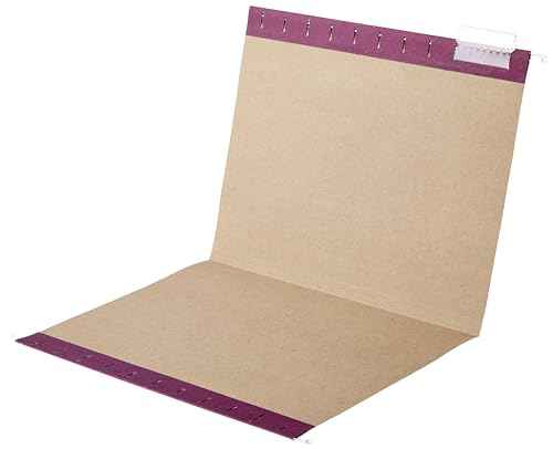 Hanging File Folders with Adjustable Tabs for Document Organization (25 Count)