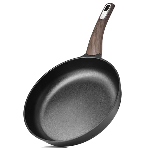 11Inch Nonstick Frying Pan Paella Pan
