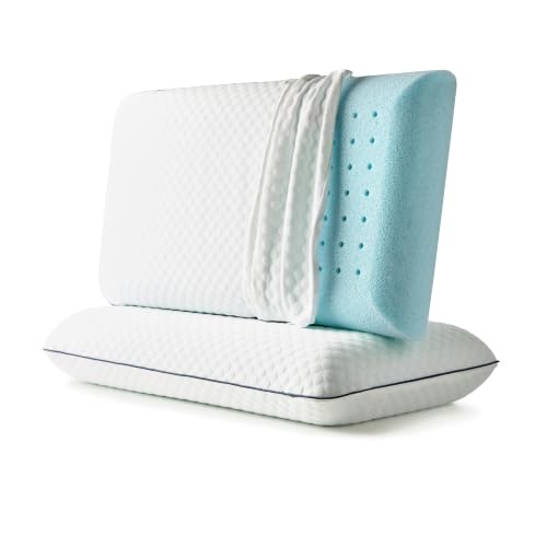 Gel Memory Foam Pillow (2 Count)