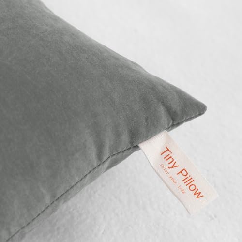 Tiny Pillows Set of 2 (2 Count)